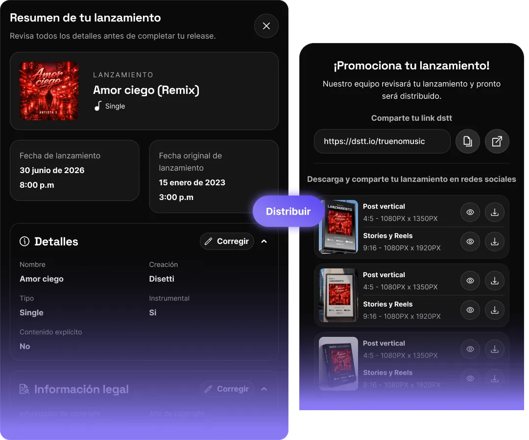 Resumen del lanzamiento antes de distribuir en Disetti